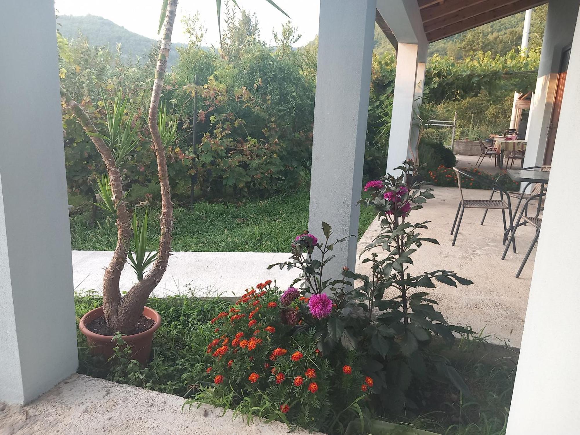 Rustic village Rijeka Crnojevića Esterno foto