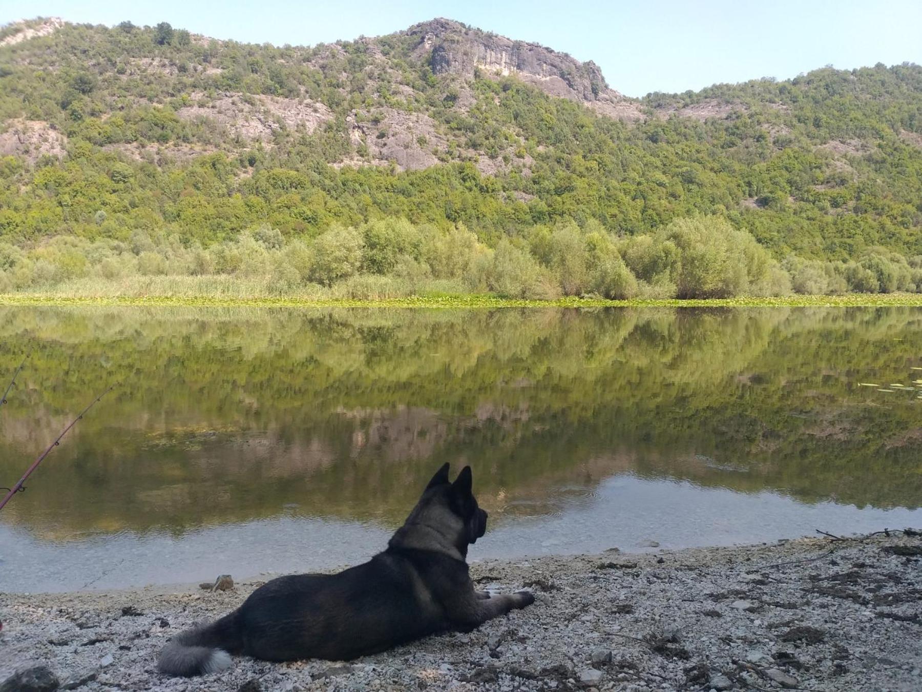 Rustic village Rijeka Crnojevića Esterno foto